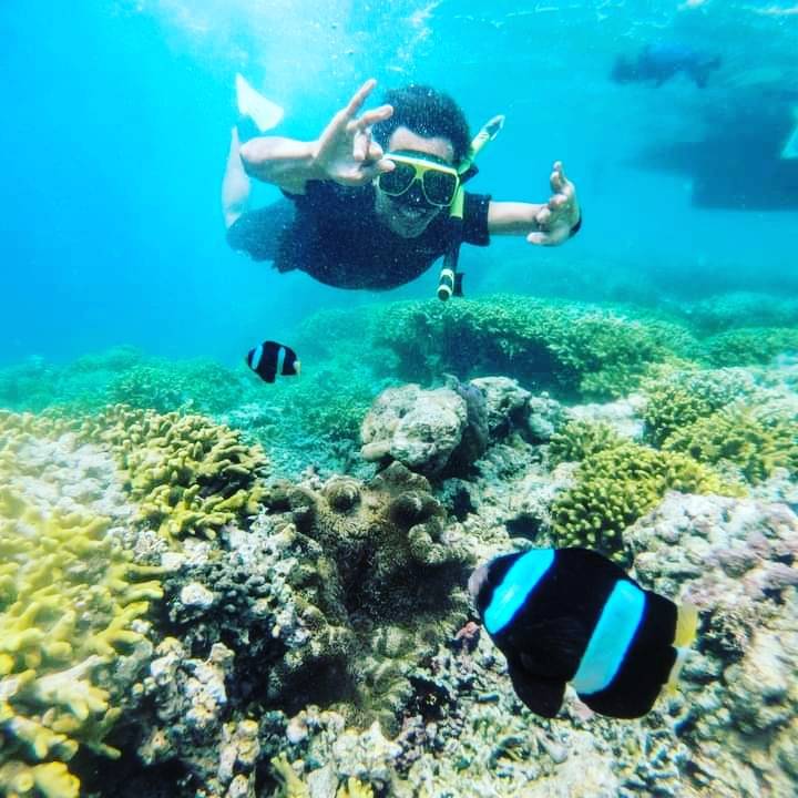 Wisata Pulau putih snorkeling pulau menjangan