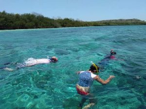 Snorkeling at Menjangan Island
