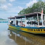 Mangrove Tour