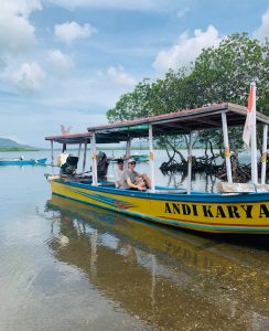 Mangrove Tour