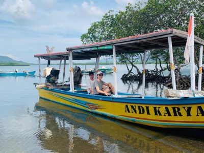 Mangrove Tour