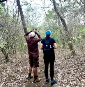 Bird watching west bali national park