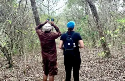 Bird watching west bali national park