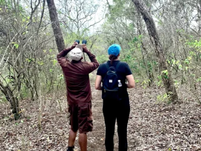 Bird watching west bali national park