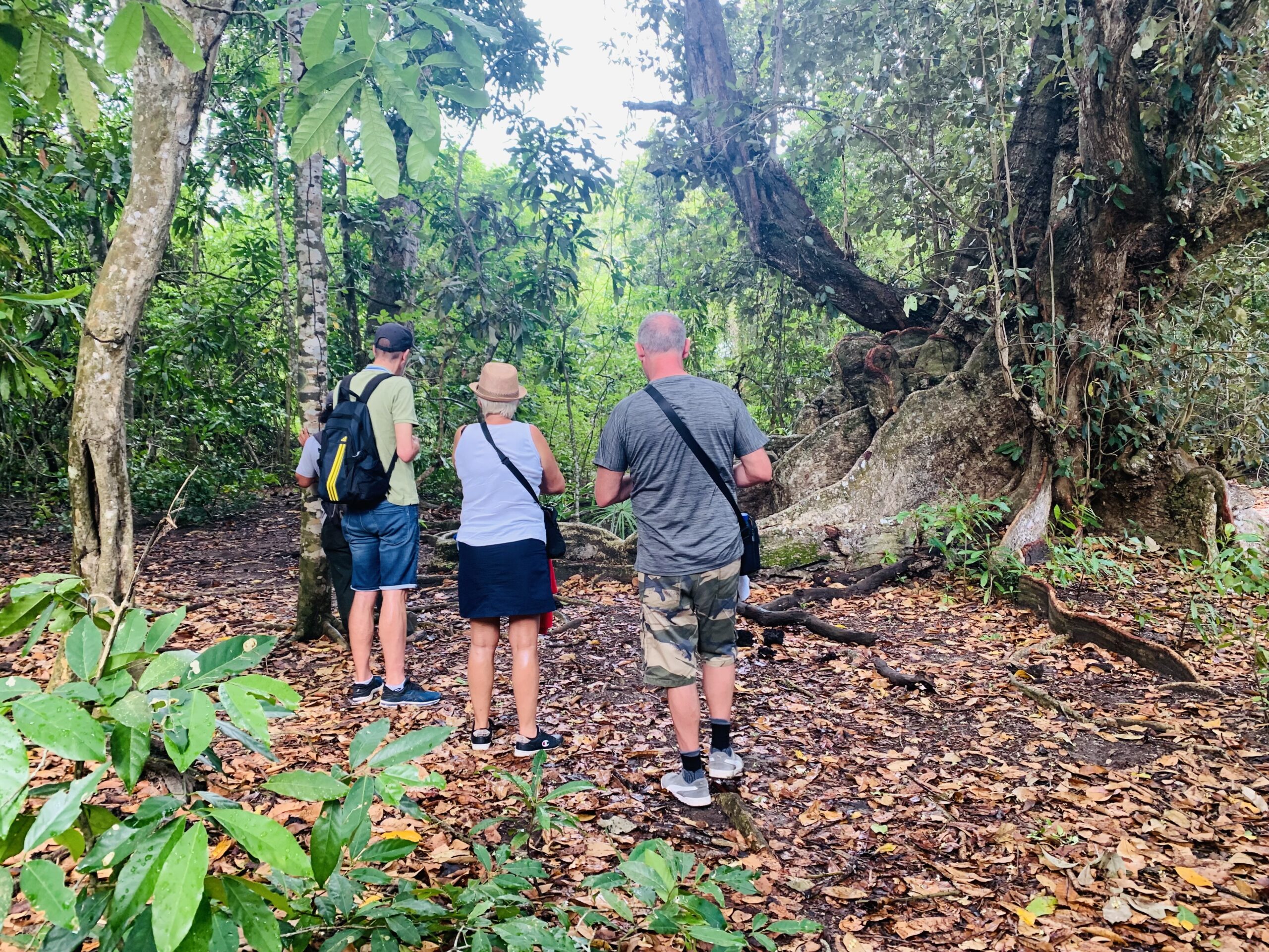 Trekking West Bali National Park
