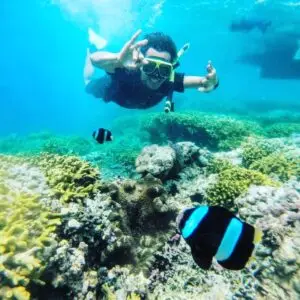 Awan Menjangan - Snorkeling at menjangan island