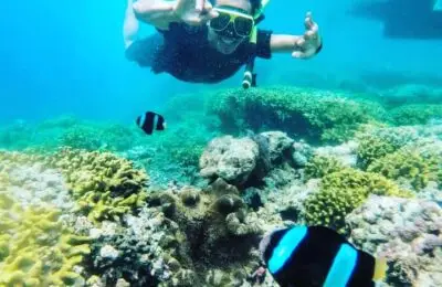 Awan Menjangan - Snorkeling at menjangan island