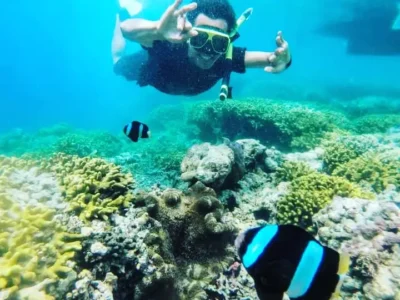 Awan Menjangan - Snorkeling at menjangan island