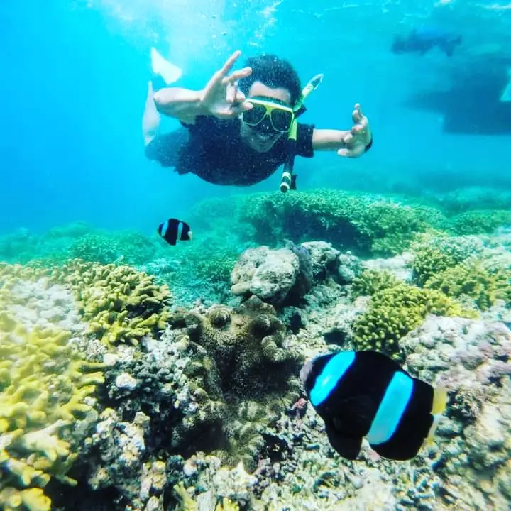 Awan Menjangan - Snorkeling at menjangan island
