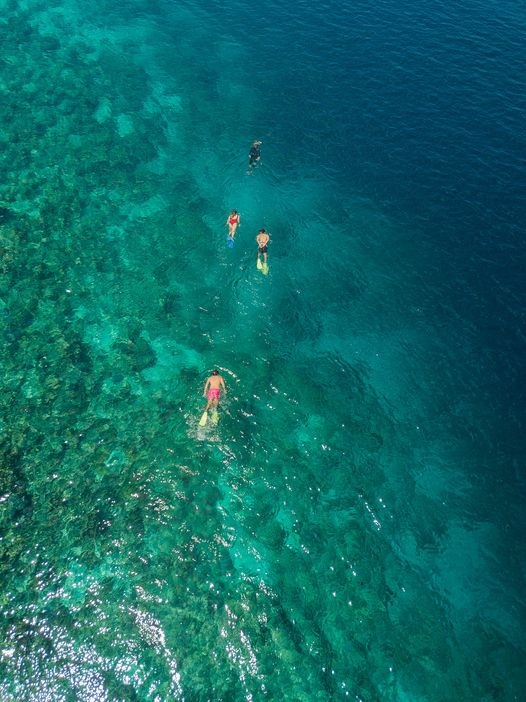 Awan Menjangan - Snorkeling at menjangan island